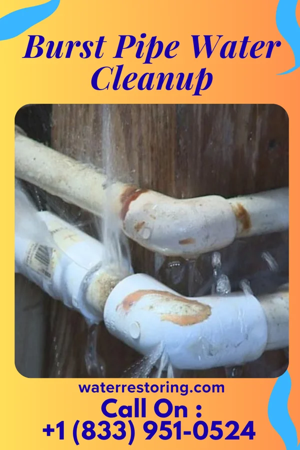 Burst Pipe Water Cleanup in Pritchett, CO